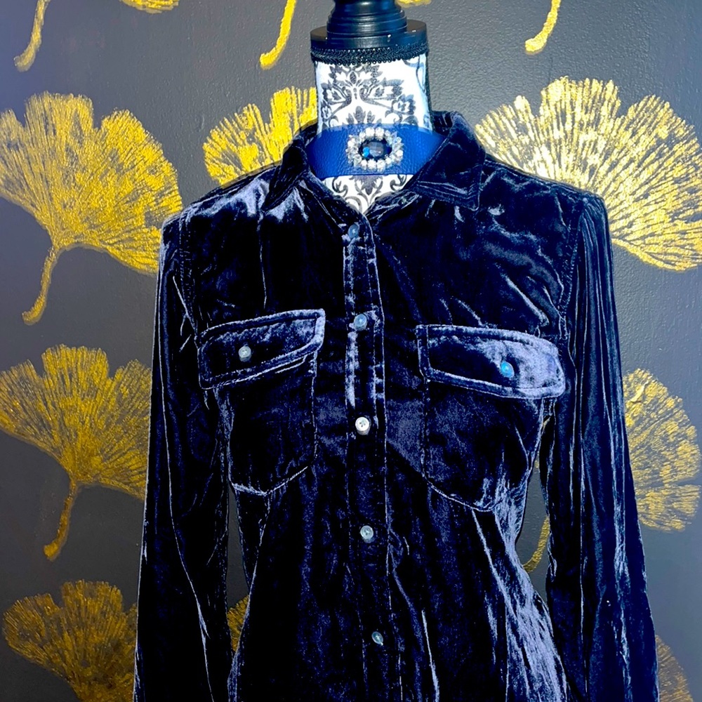 J.Crew velvet button blouse